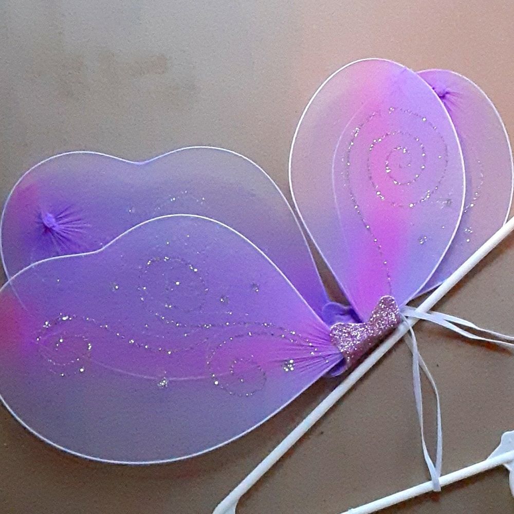 Girls wings